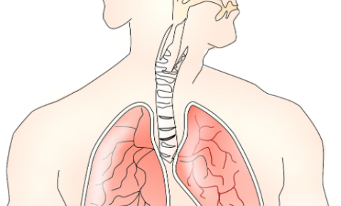 Fisioterapia respiratória: o que é?