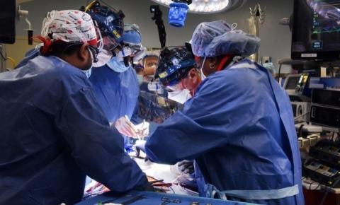 EUA: homem recebe coração de porco em transplante inédito