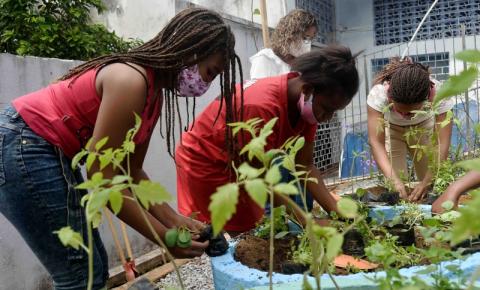 Prefeitura implanta 63ª horta comunitária em associação na Vila Laura