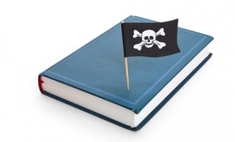Os impactos da pirataria de livros e do fornecimento alternativo no mercado editorial brasileiro