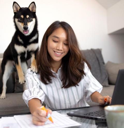 Vagas de emprego: DogHero tem novas oportunidades em aberto